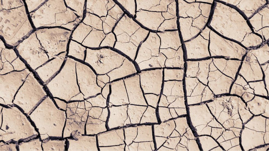 dry cracked earth as a representation of dry vaginal skin and atrophy during menopause