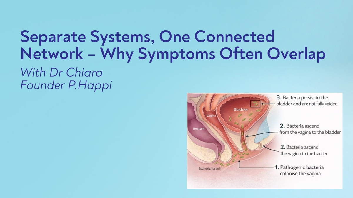 The Intimate Microbiome: Separate Systems, One Connected Network – Why Symptoms Often Overlap