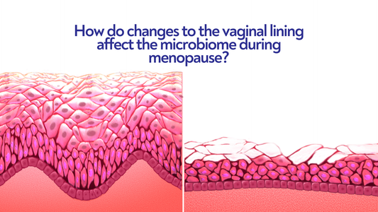 What is the impact of menopause on estrogen and how does this affect the microbiome?