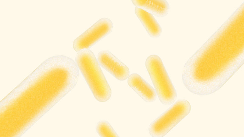 lactobacilli bacteria floating around. this bacteria is needed to look after the intimate microbiome and avoid infections such as utis